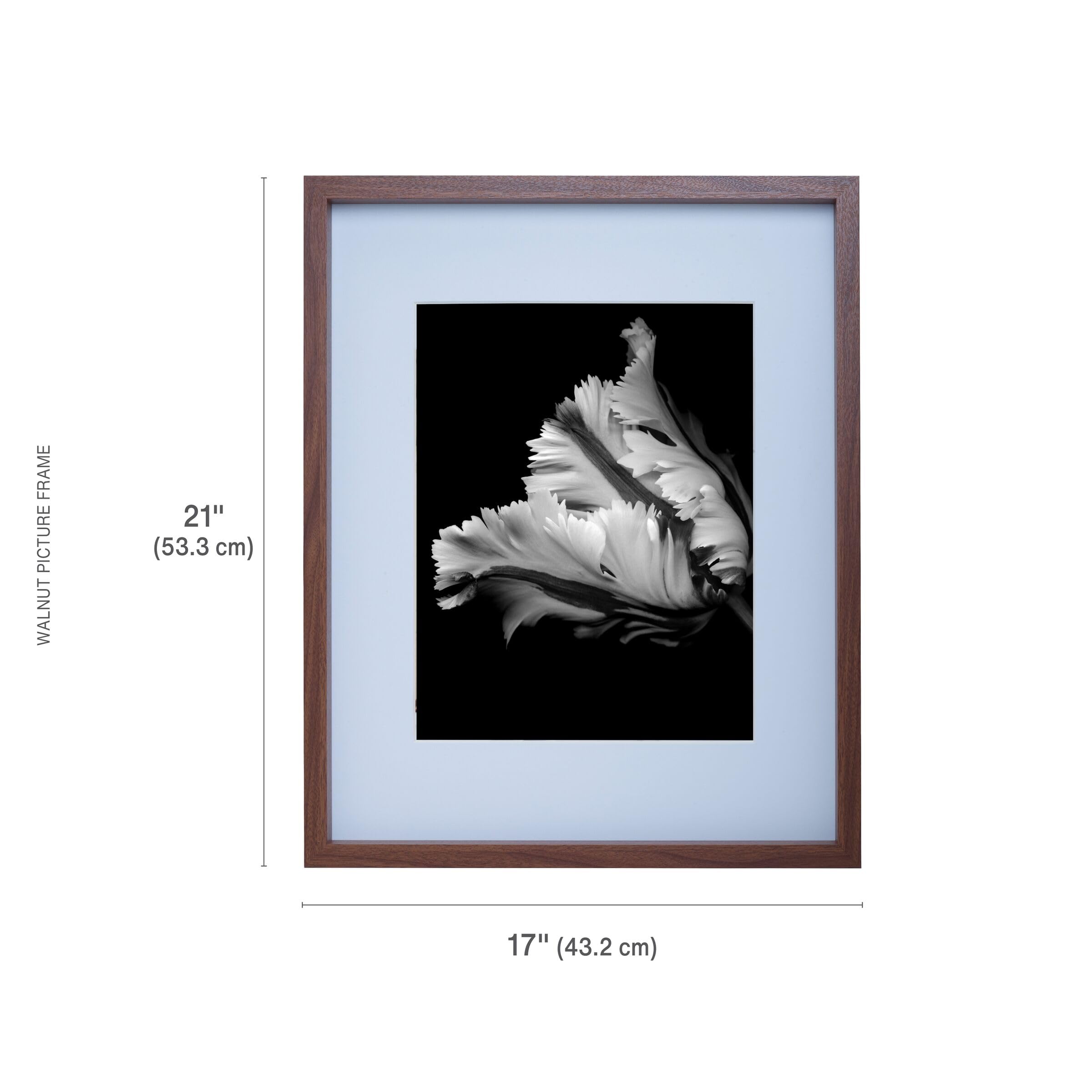 グレース・ヴァンダーウォール直筆サイン入り超大型写真… Amazon.com - Mikasa Gray MDF Portrait Picture Frame 16x20 Matted