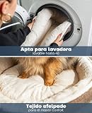 Ver la foto 4