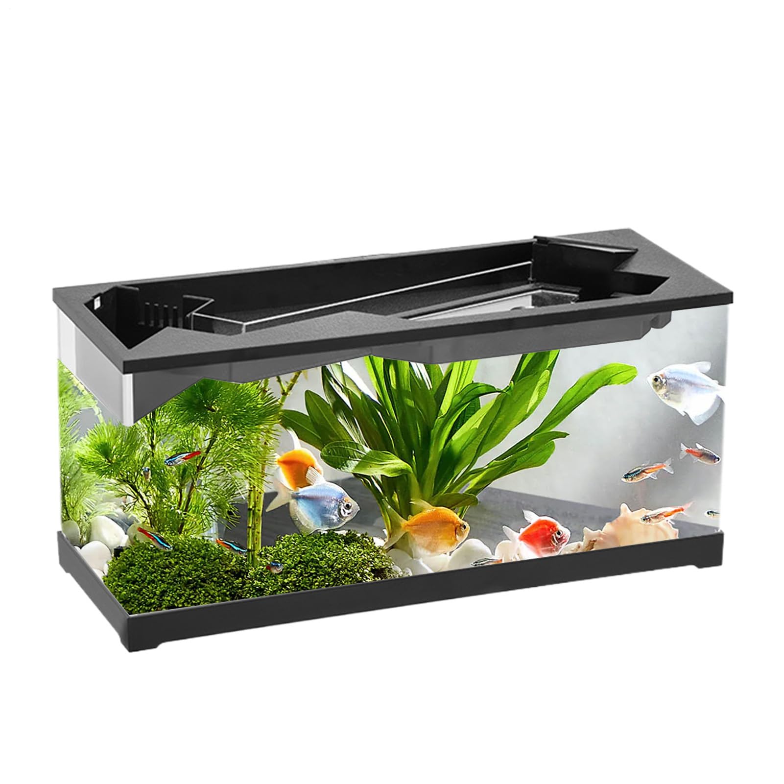 Acquario da tavolo - Acquario da tavolo silenzioso, kit per acquario a LED d'acqua | acquario per pesci Betta in acrilico con luci a LED e filtro a parete posteriore, acquario con base a