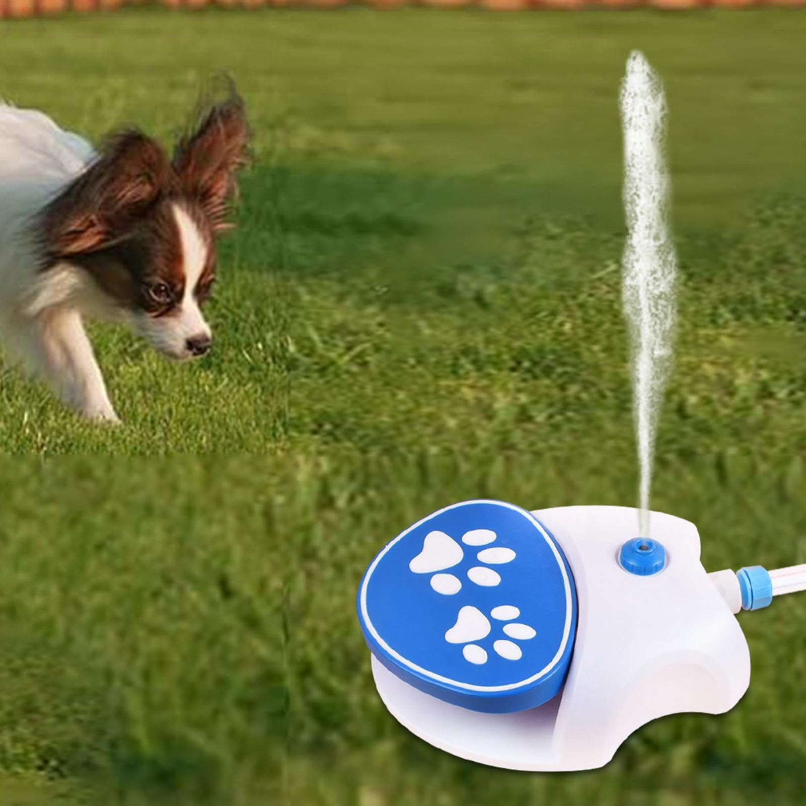 Fontanna dla psa, zabawka tryskaczowa dla psa, zabawka dla psa tryskacz, zabawka dla psa, łatwa do aktywacji fontanna dla psa, tryskacz dla psa, fontanna dla psa