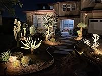 Review Image by @ChristineBisquera