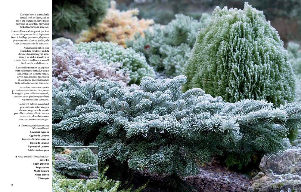 Botanical Inspirations: 1000 Ideas for Planting Your Garden / 1000 Ideen fur die Bepflanzung deines Gartens / 1000 Ideas Para Plantar tu Jardin