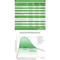 Vista 4 de Easy@Home Prueba instantánea de drogas en orina de 12 paneles - THC, COC, OPI 2000, MET, OXY, AMP, BAR, BZO, MTD, MDMA, PCP, PPX #EDOAP-1124 -Kit