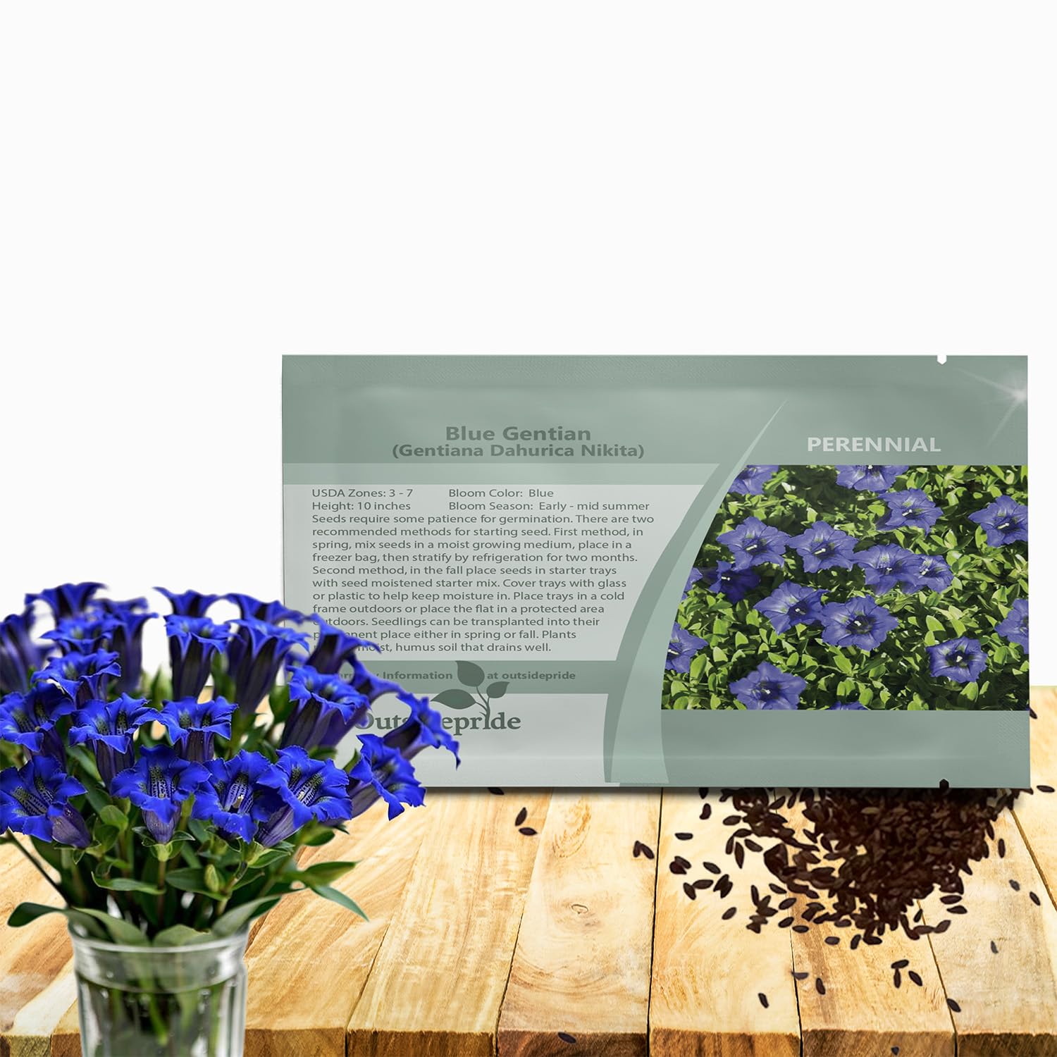 Amazon.com : Outsidepride Nikita Gentian Seeds - 500 Pcs Perennial