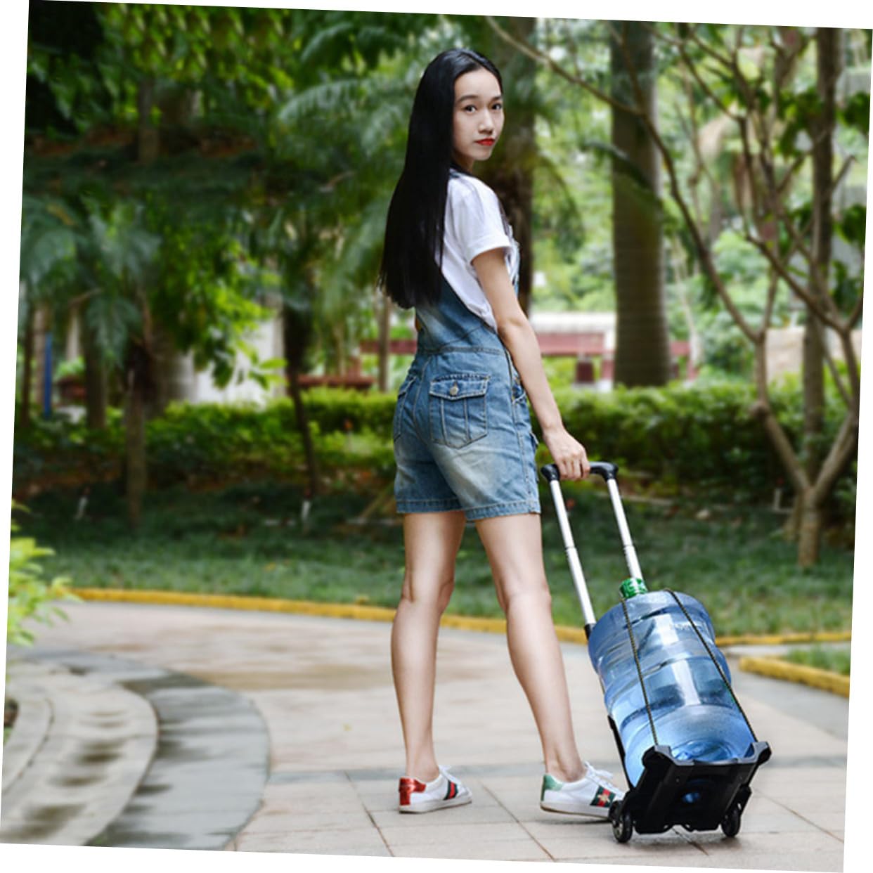 Carrello Pieghevole Due Ruote Carrello Portabagagli Manuale Della Spesa Portatile Resistente e Stabile Per Uso Quotidiano e Viaggio