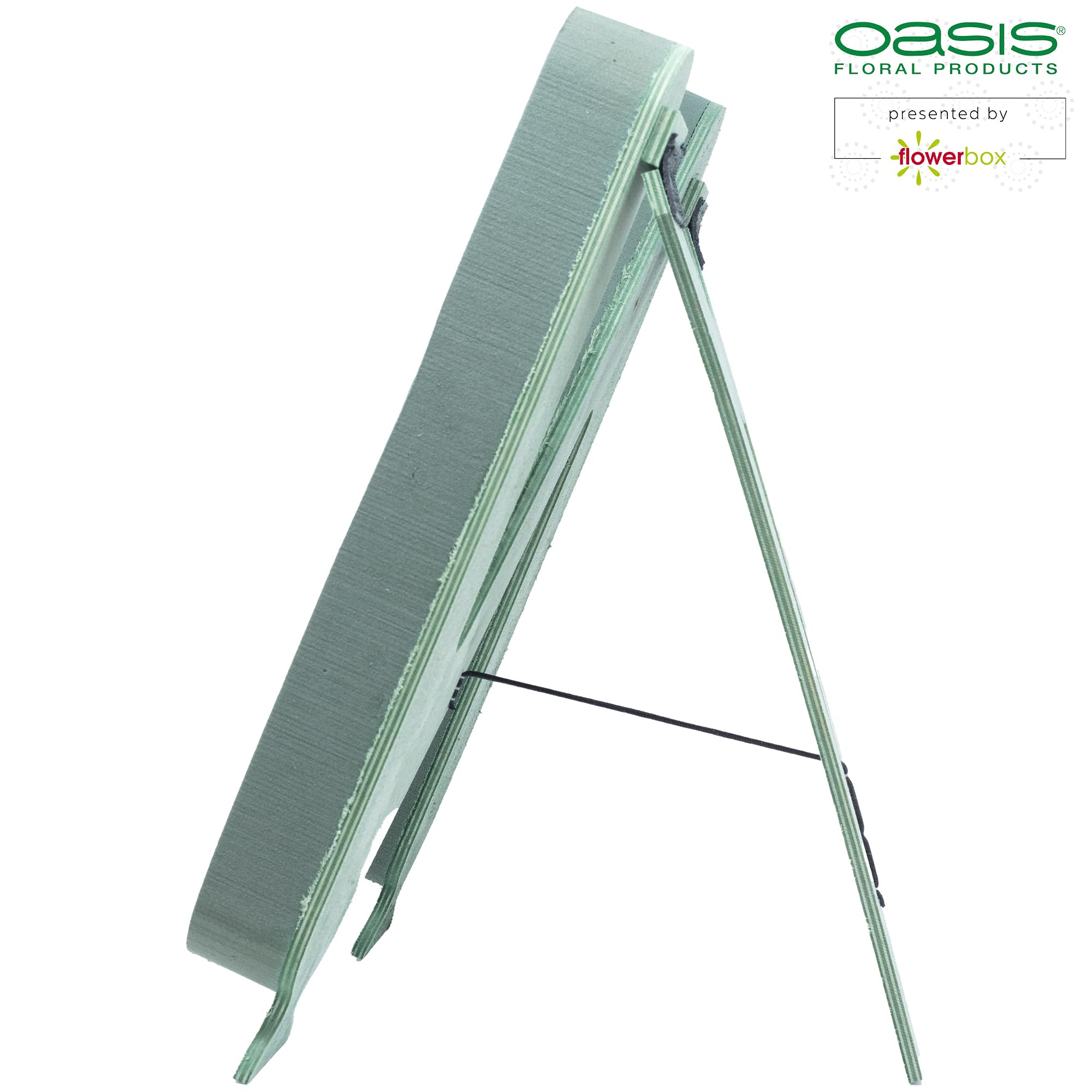 Spugna Oasis Maxlife FLOWERBOX Oasis Bioline Bioline Letter E 37 Cm