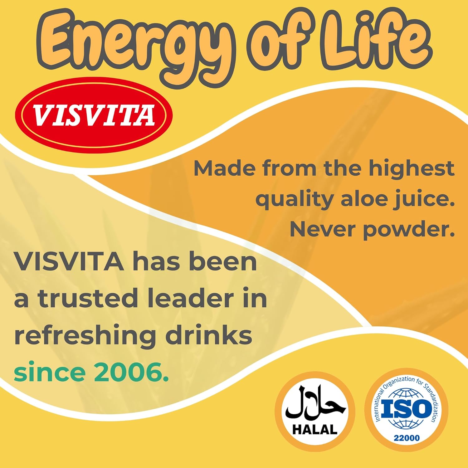 VISVITA Aloe Vera Juice with Real Pulp, Mango | Digestive Health, Hydration & Energy Boost | No Artificial Colors, 50.7 oz (Pack of 12)