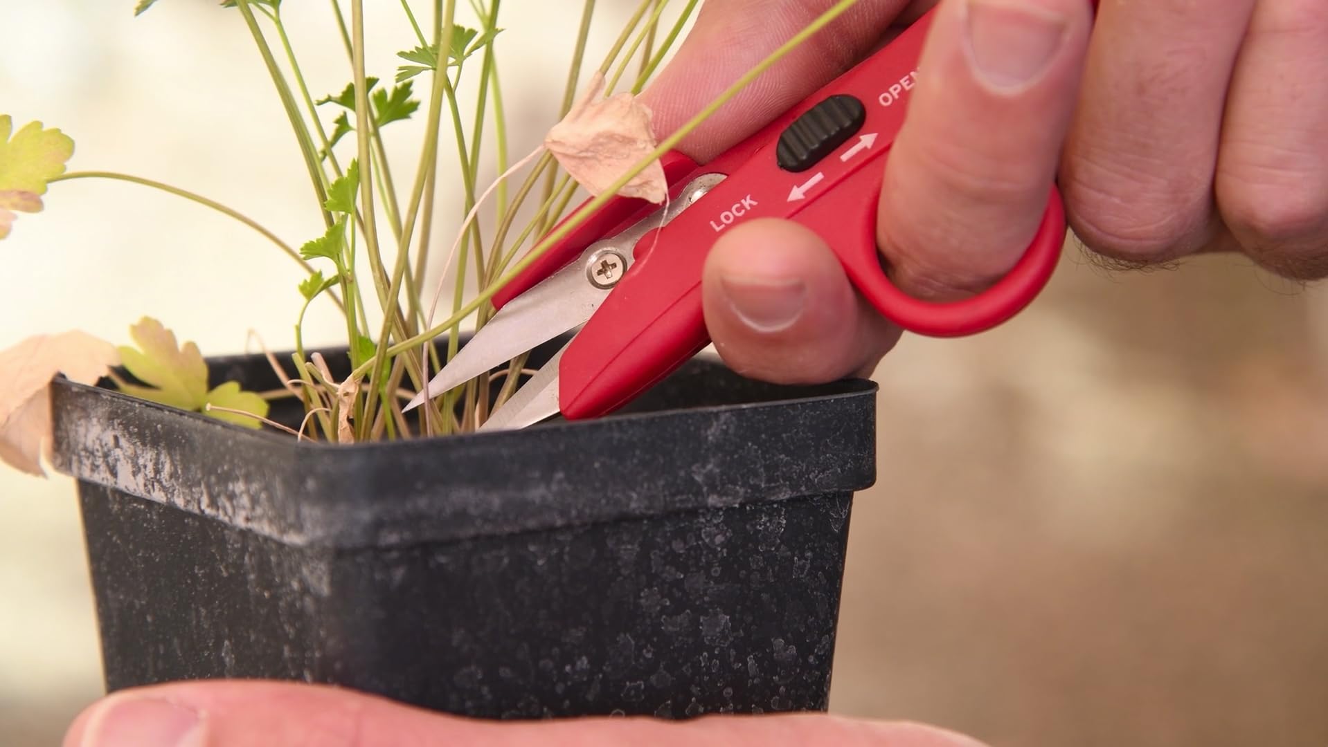 Amazon.com : Corona FS 4110 Hydroponic Finger Micro Snips , Red