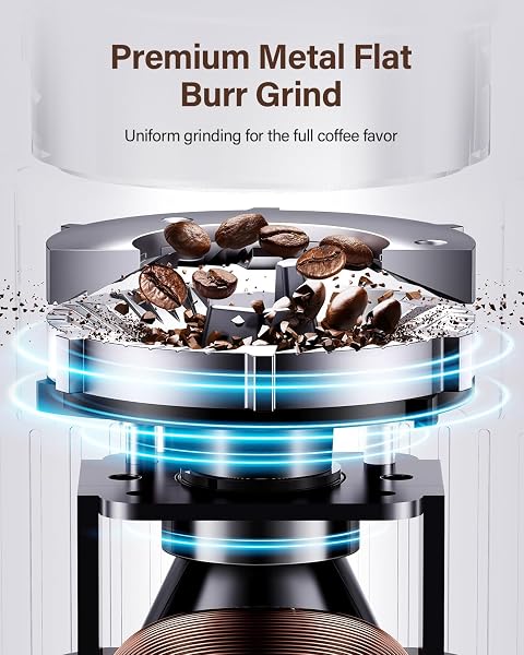 SHARDOR Burr Coffee Grinder Electric with 32 Grinding Sizes - 3