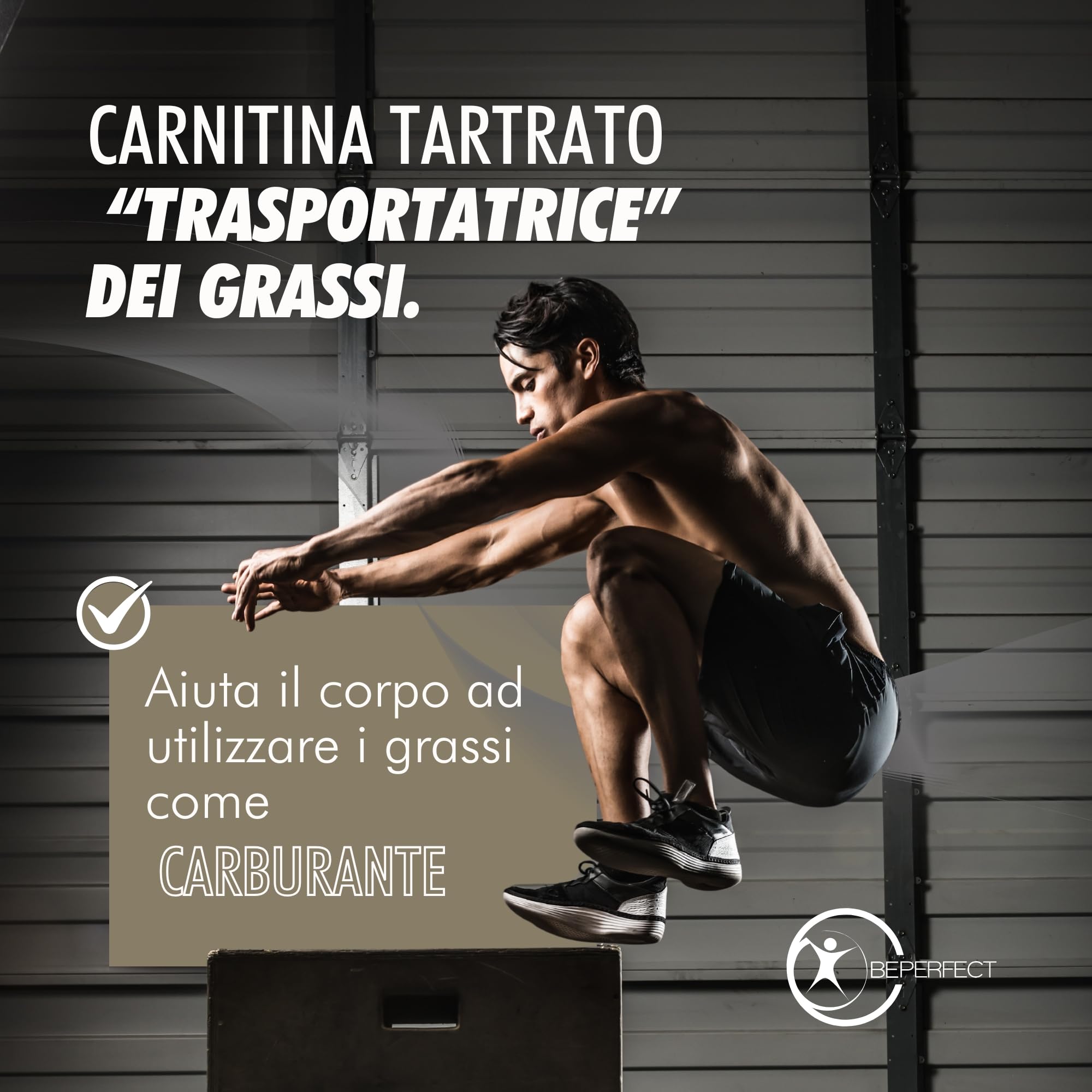 Acetil L-Carnitina Tartrato Integratore – 3360 mg per Dose – 90 Compresse – Supporto Metabolico ed Energetico per Sport, Recupero e Attività Fisica