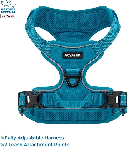 Miniatura 2 de Voyager - Arnés con doble correa para perro, con control sin tirones, ajustable, suave pero fuerte para mascotas, para perros medianos y grandes,