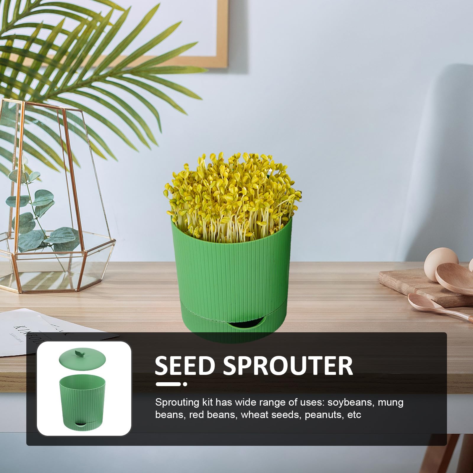 Barattolo per Germogli di Fagioli Verde in Pp e Pietra, Riutilizzabile e Traspirante, per Orto e Giardinaggio in Giardino, Kit per Germinazione Semi di Grano e Soia