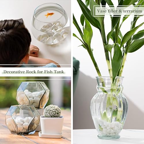 Miniatura 8 de Ausluru Piedras naturales de río pulidas de 5 libras para plantas y jardines, ideal para peceras, jarrones, suculentas, manualidades, decoración del