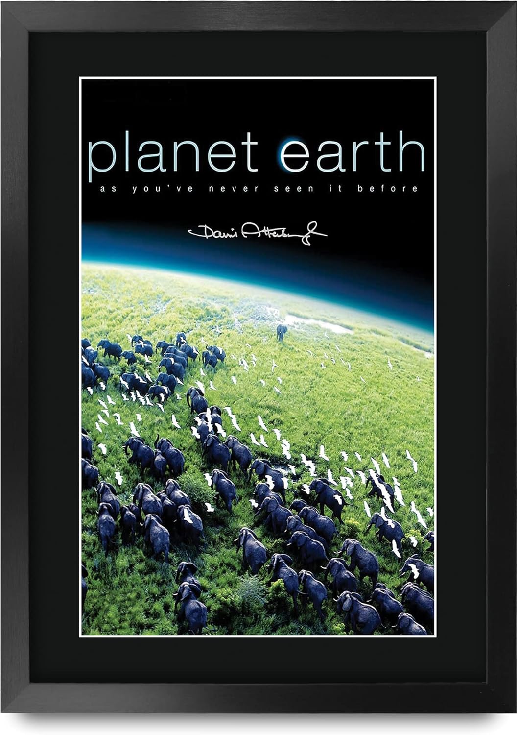 HWC Trading Planet Earth 1 David Attenborough 16 x 12 inch Framed Gifts Printed Signed Autograph Poster for TV Memorabilia Fans - 16" x 12" Framed