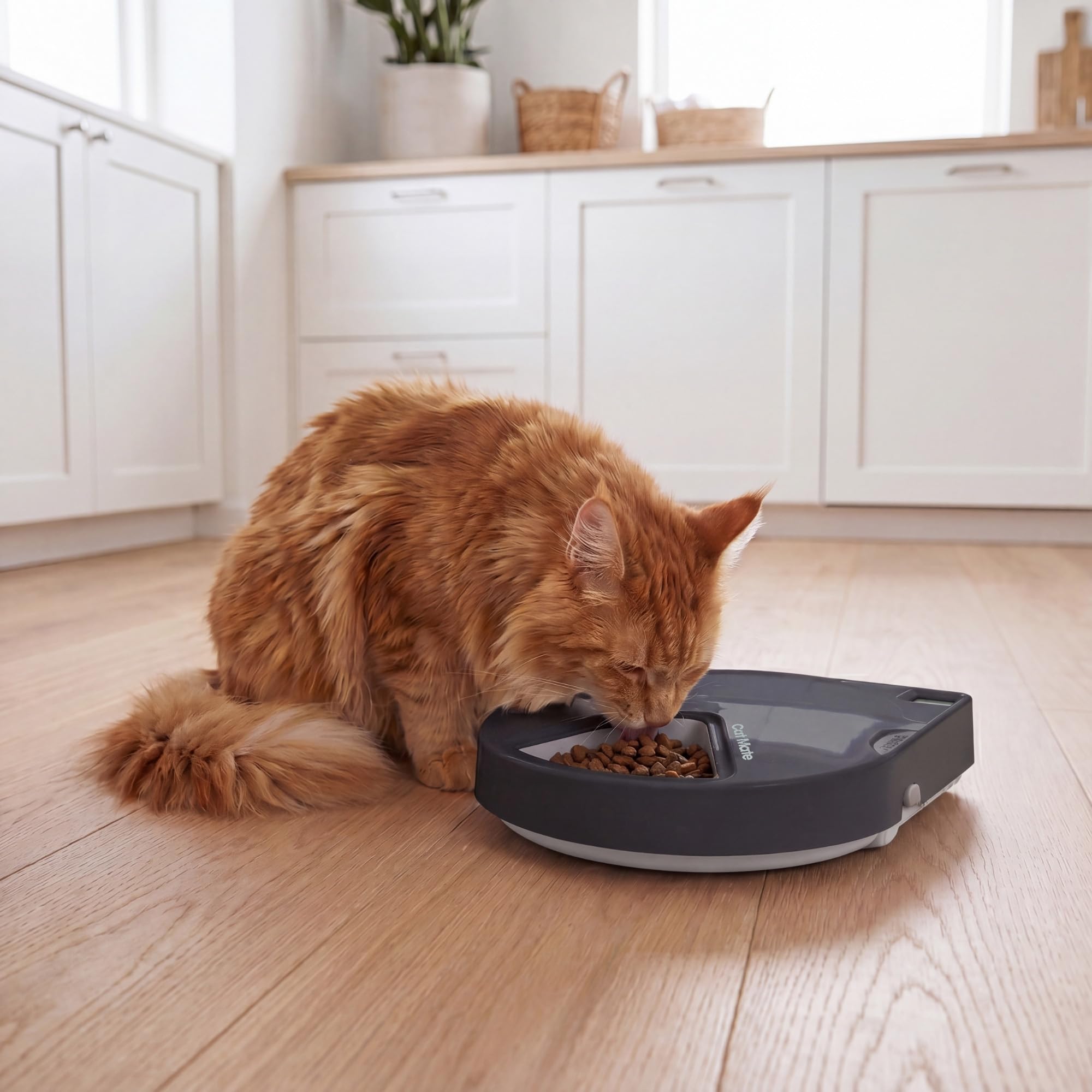 Closer Pets C500 Mangeoire automatique à 5 repas pour animaux de compagnie, avec gamelles en acier inoxydable, minuterie numérique et deux blocs de glace, pour nourriture humide et sèche, bols jusqu'à