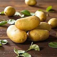 Carbeth Plants International Kidney Seed Potatoes 11 Tubers - Early Variety with Waxy Texture - Ideal for Boiling & Salads - Easy to Grow in UK Gardens & Containers (11)