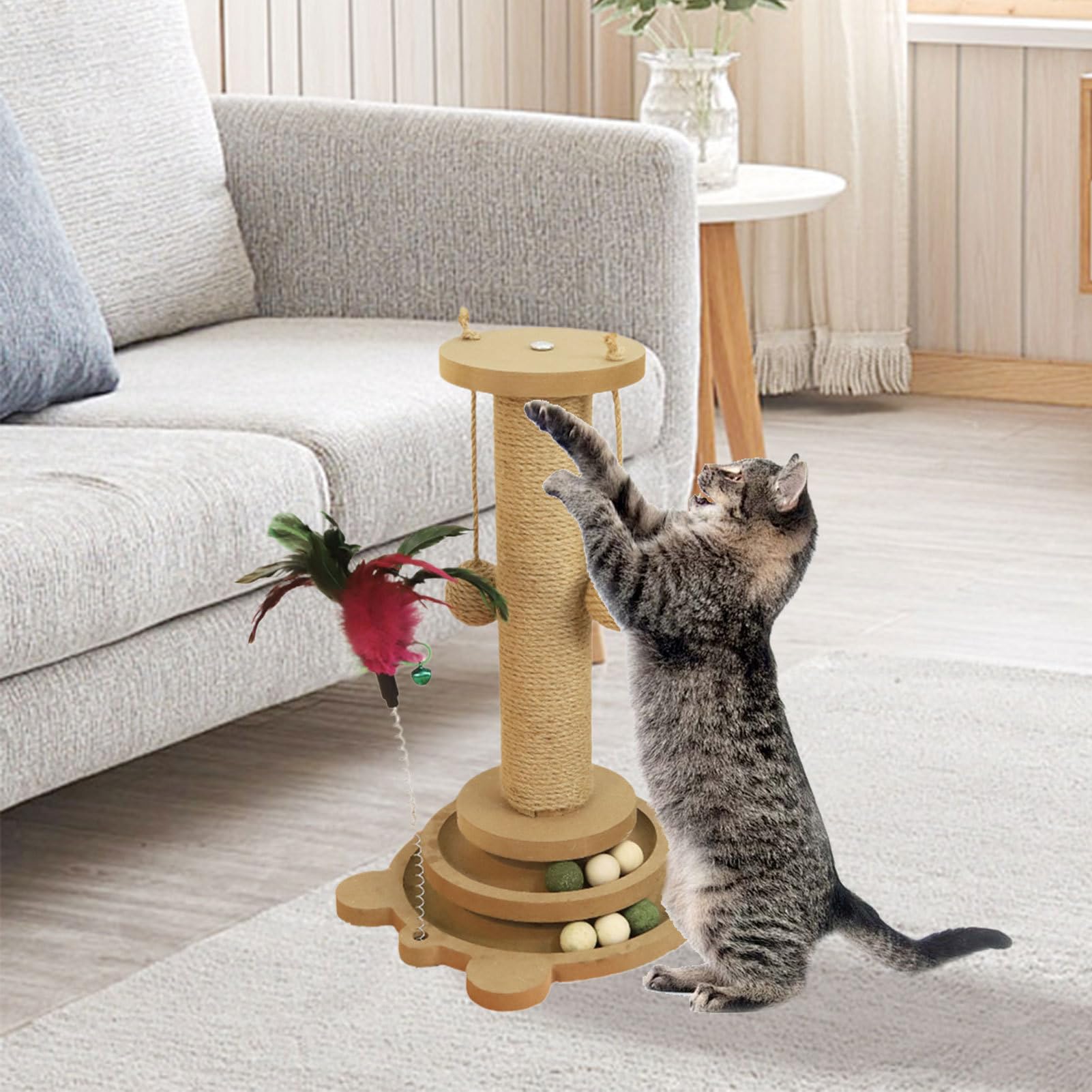 Griffoir pour Chat Circuit À Balle pour Chat
