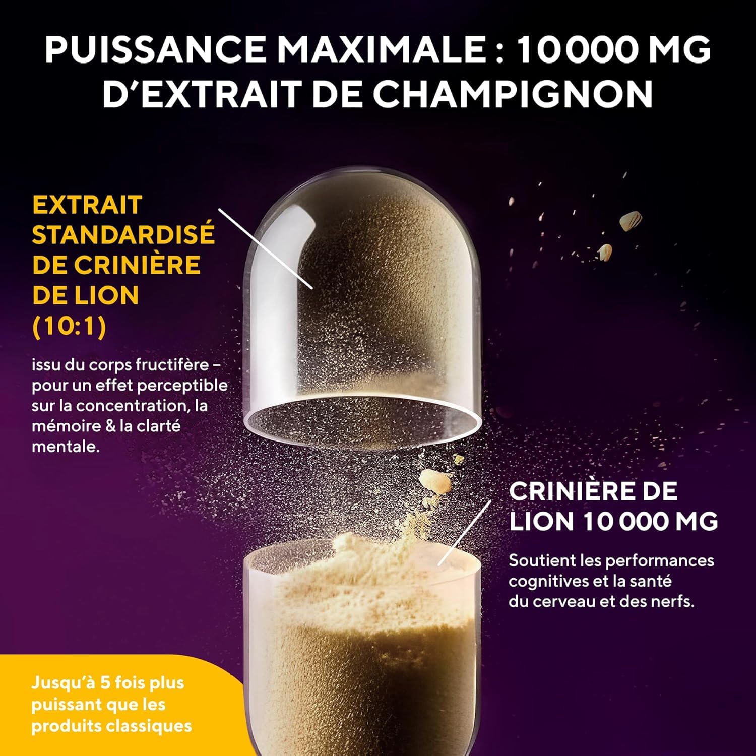 Lion's Mane - 10 000 mg - Gélules de crinière de lion – Extrait de champignon Hericium Erinaceus 10:1 – Naturel et sans OGM (180 capsules)