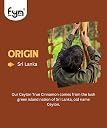 FYN True Sri Lankan Cinnamon Quills (100 grams) /World's Finest Ceylon Dalchini | True Sri Lankan Dalchini Rolls | Low Coumarin | Helps with Weight Loss gallery image