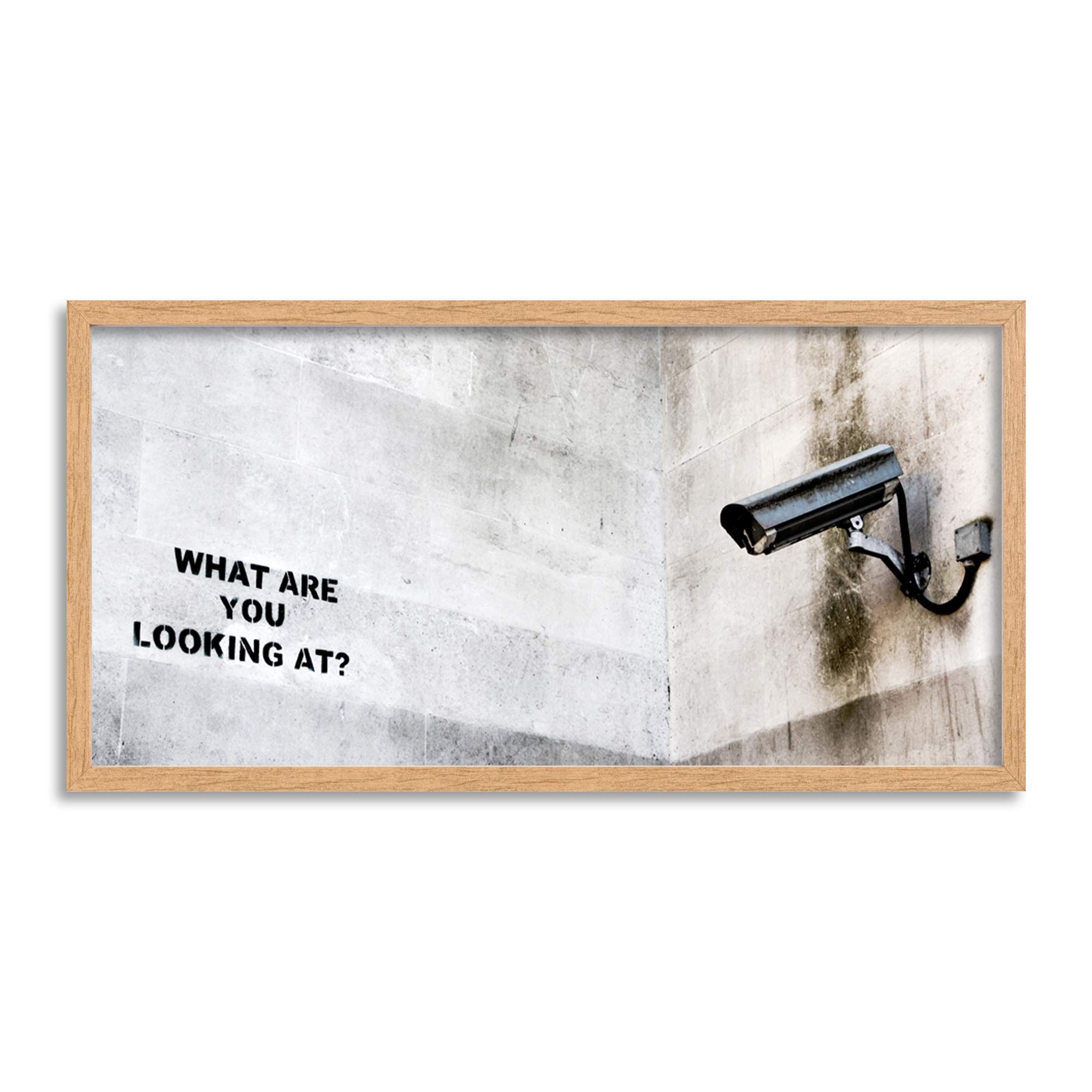 Wee Blue Coo Banksy CCTV Camera Graffiti Street Art Long Panel Framed Wall Art Print
