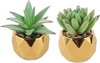 Pack of 2 Artificial Succulents, Artificial Plants, Decorative Plants, Small Artificial Plants in Ceramic Pot, Fake Plants for Bedroom, Living Room, Bathroom and Desk (Green) Green, Gold