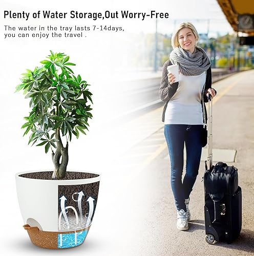 Miniatura 2 de Dorcy Macetero de riego automático de 12 pulgadas, macetas grandes con depósito extraíble profundo y agujeros de drenaje de malla múltiple, macetas