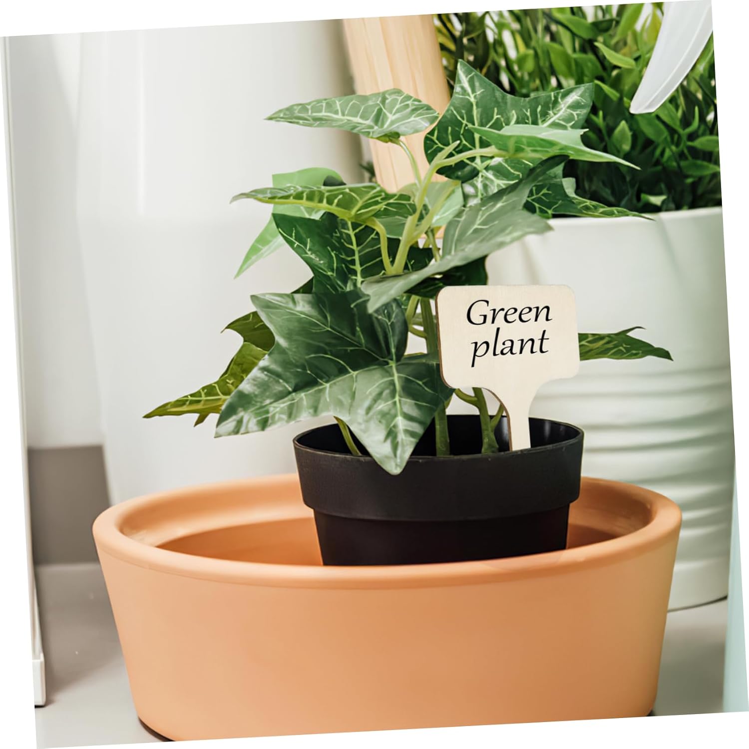 BESPORTBLE 3sets Plant Labels for Outdoor Plants Garden Signs Stakes Decorative Garden Tags 50pcs*3