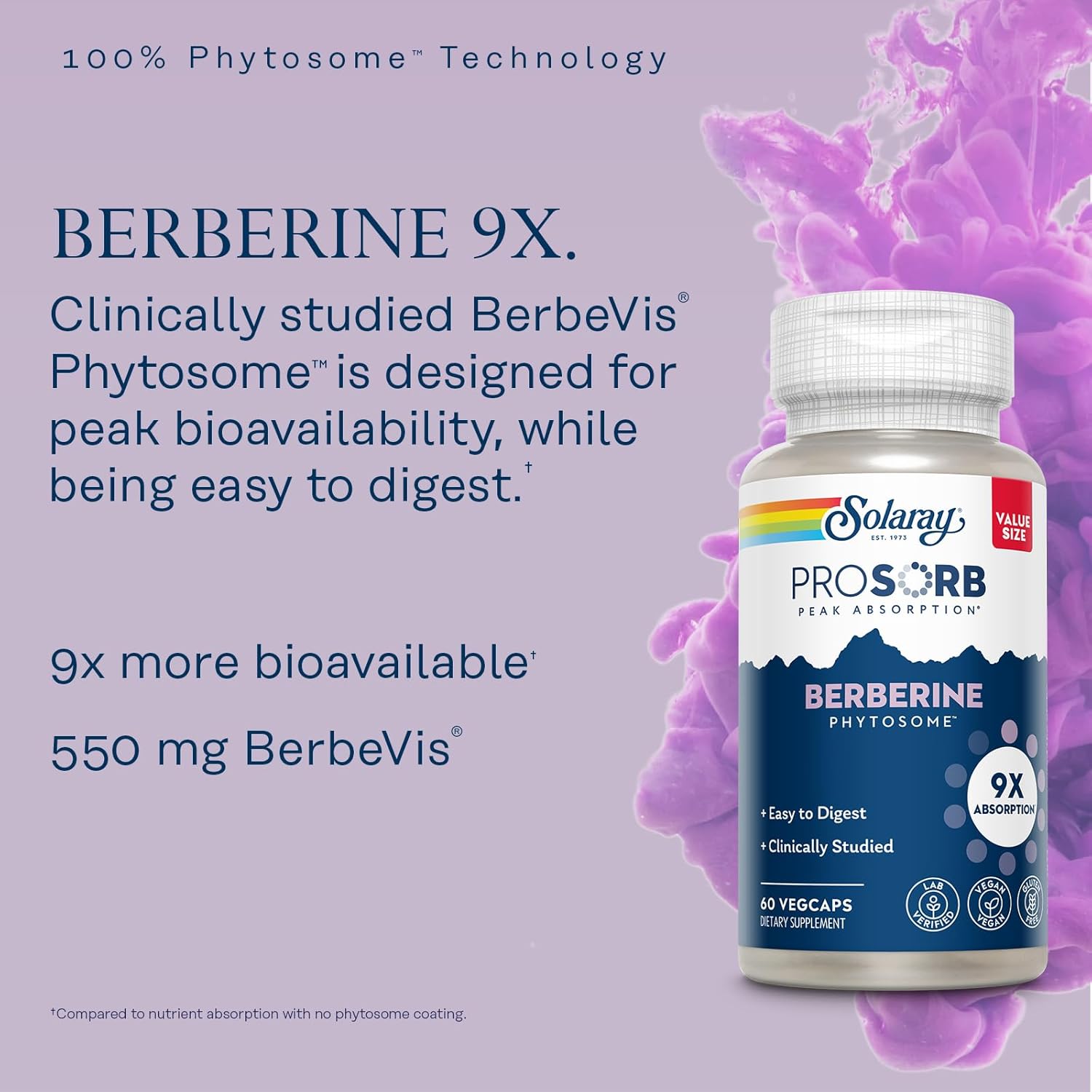 SOLARAY Berberine Phytosome - 9X Absorption and Easy-to-Digest - Standardized to 30% Berberine HCl - Vegan, Made Without Soy - 60-Day Guarantee - 60 Servings, 60 VegCaps