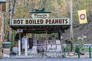 Historic Pictoric Photo - Sign Advertising a Local Delicacy,hot, Boiled Peanuts,at Bearmeat's Indian Den Craft and Gift Shop in The Town of Cherokee- Fine Art Photo Reporduction 24in x 16in