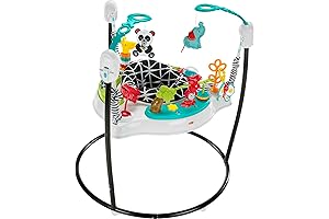 Fisher-Price Baby Bouncer Pink Petals Jumperoo Musical Activity Center
