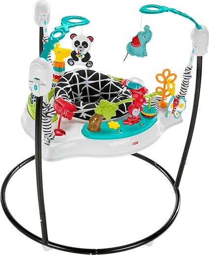Fisher-Price Pink Petals Jumperoo