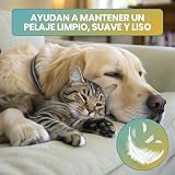 Ver la foto 6