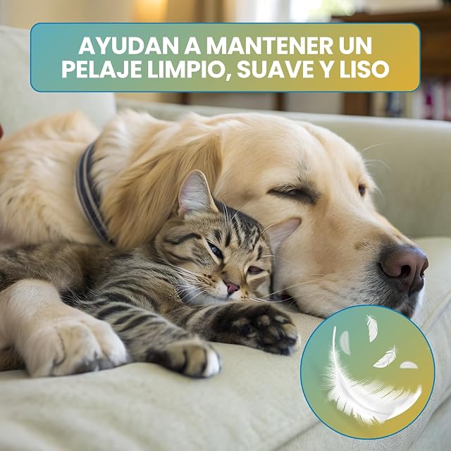 Foto 6 de 7 de Kleenit - Toallitas para perros y gatos (1000 unidades, 20 x 50 cm)