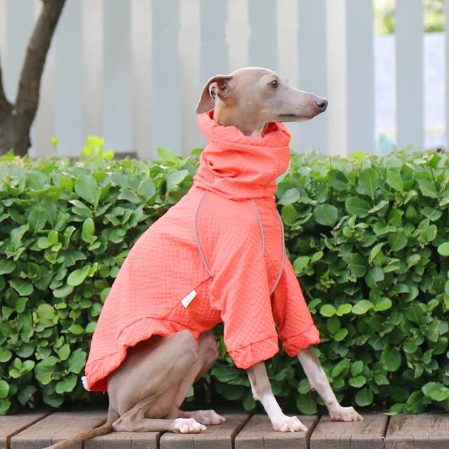 Foto 5 de 6 de IUOUTG Chaqueta Ligera para Perros Cortavientos, Chaqueta Deportiva Al Aire Libre para Mascotas De Cuello Alto