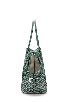 Amazon.com: Goyard, Pre-Loved Green Goyardine Canvas Chien