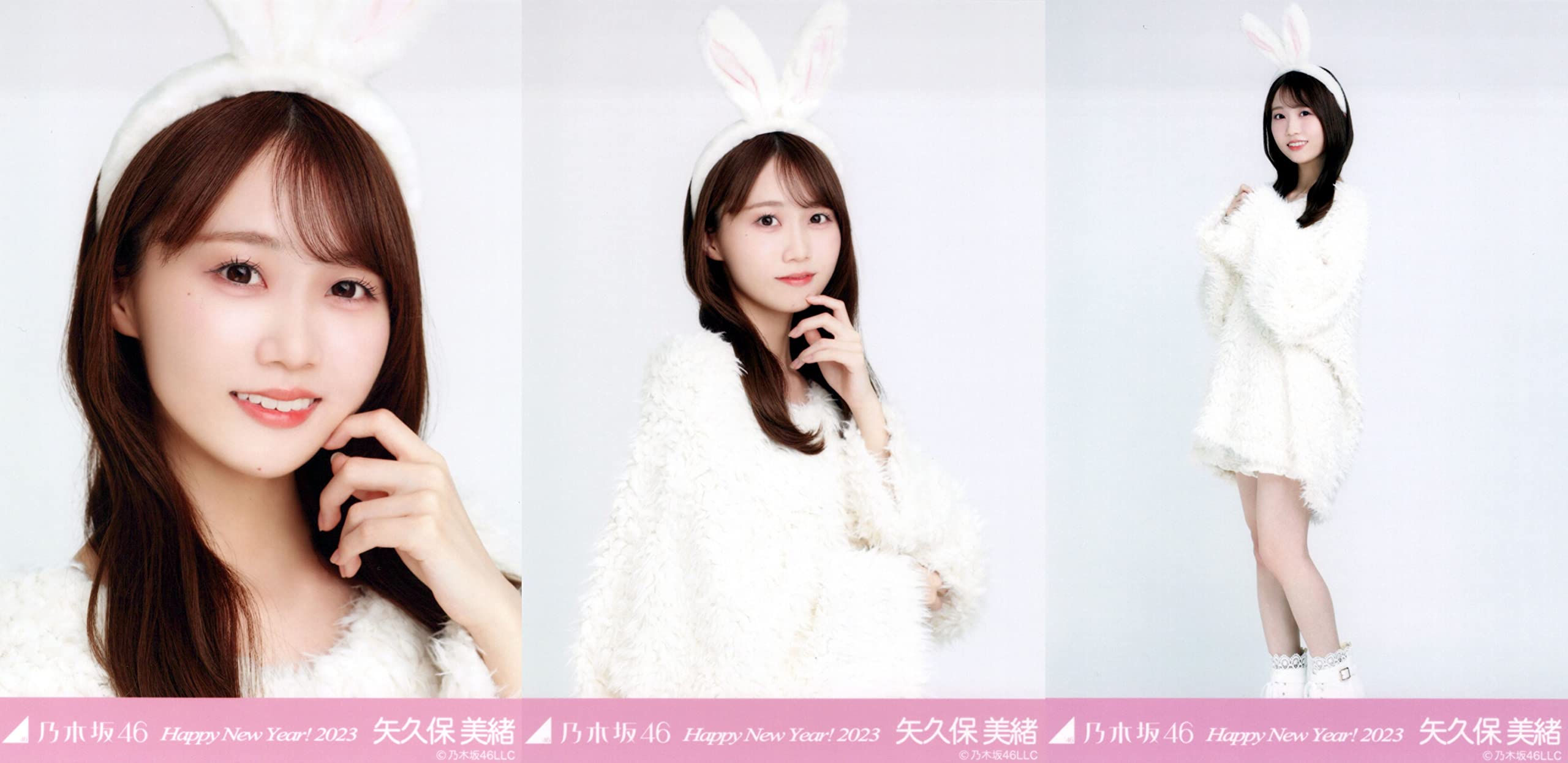 Amazon.co.jp: 乃木坂46 2023年1月ランダム生写真 干支 兎 3種コンプ