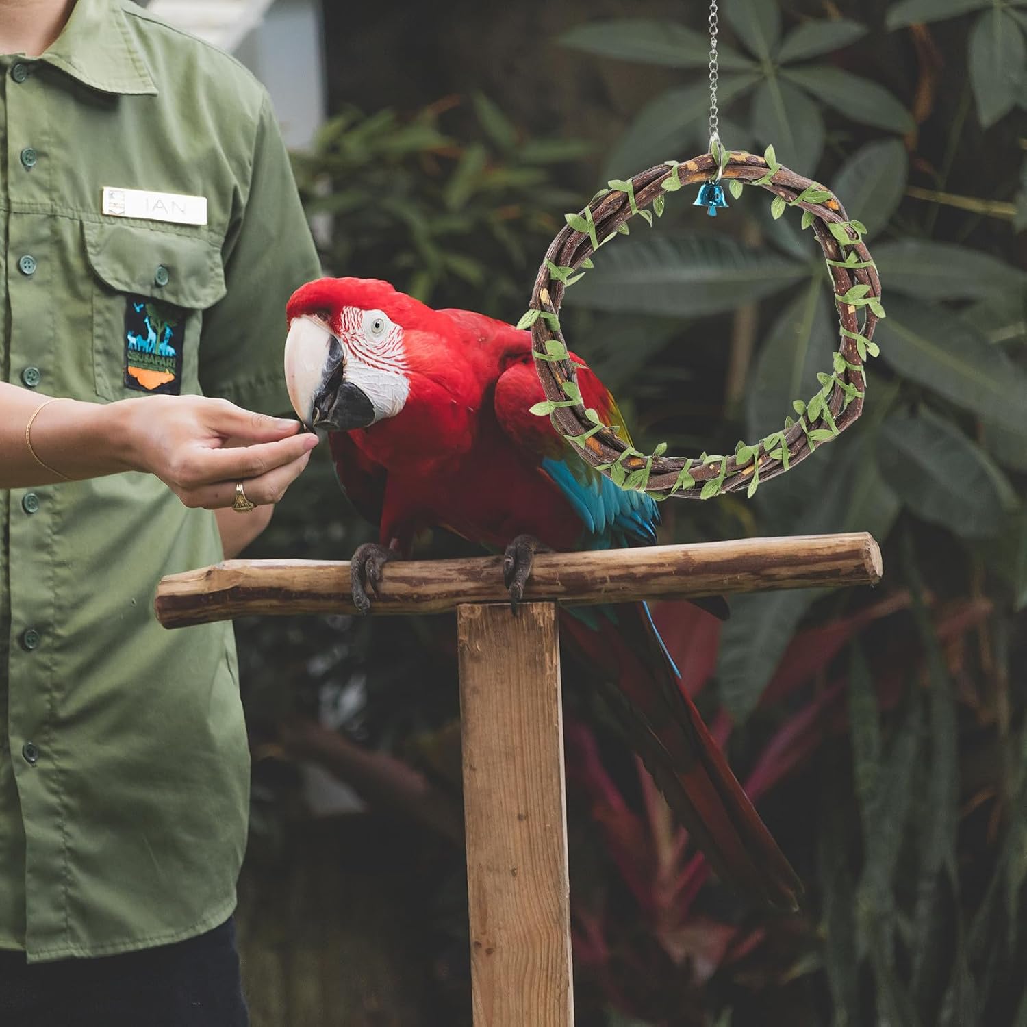 Parrot Hammock Swing with Bell Rattan Hanging Stand image 5