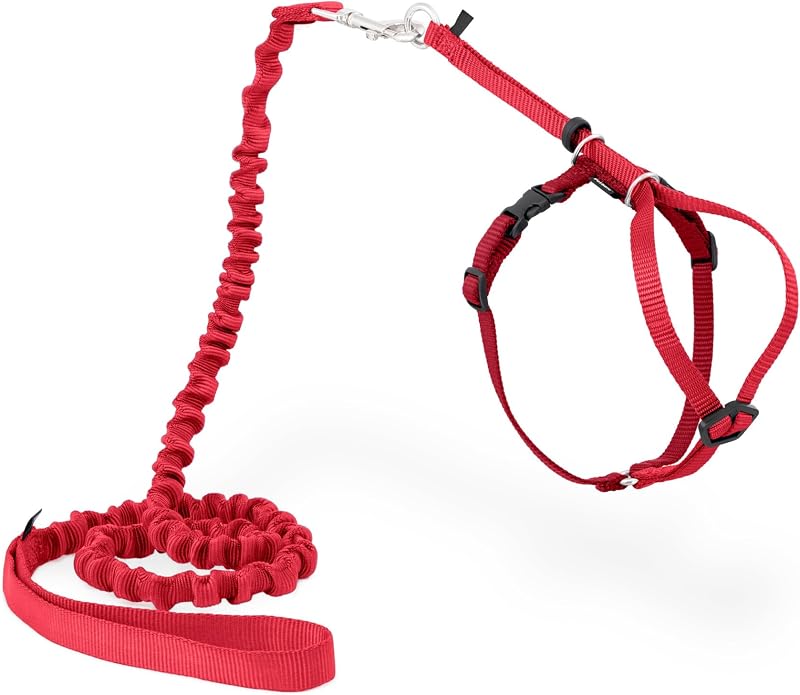 PetSafe Come With Me Kitty Harness and Bungee Leash, Harness for Cats, Medium, Red/Cranberry, Model:CWMK-M-RED | Adjustable 2-Point Fit Applies Gentle Pressure to Shoulders, Not Neck, for Small & Average Cats with 10.5 in - 14 in Girth