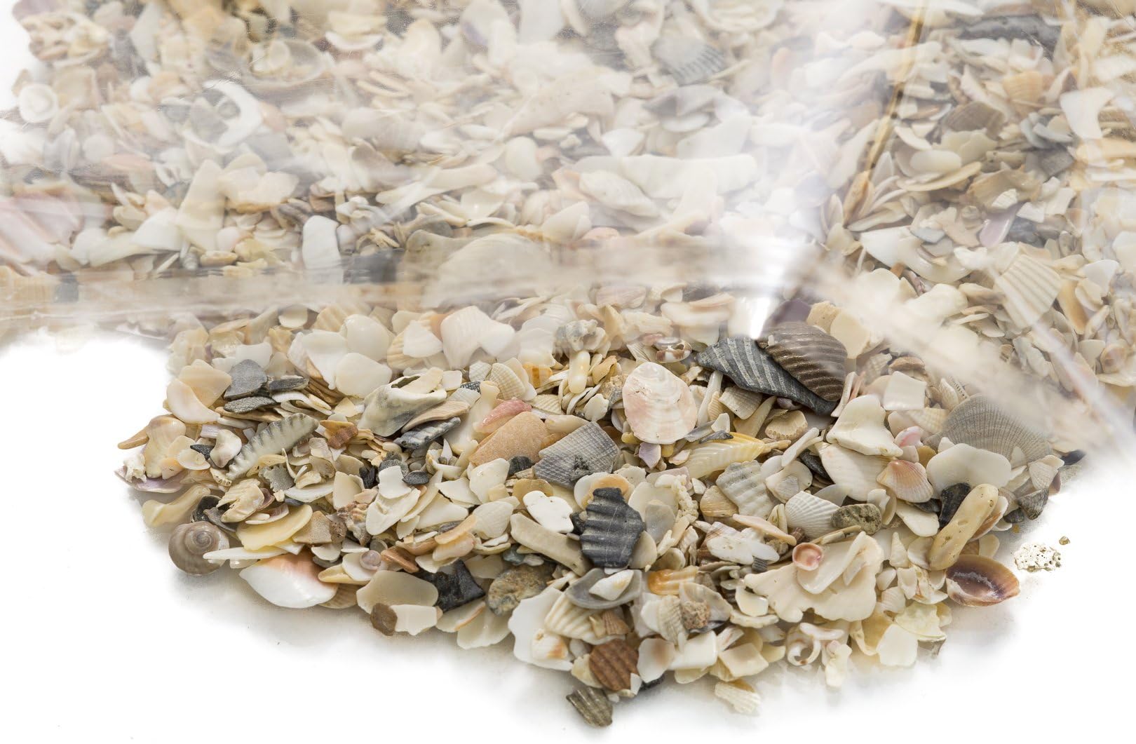 Crushed Seashells | Tiny Miniature Crushed Seashell Assorted Mix | Crushed Shells for Decoration Terrarium Aquariums and Fairy Gardens and Vase Filler | (1 Pound) | Plus Free Nautical Ebook by Joseph