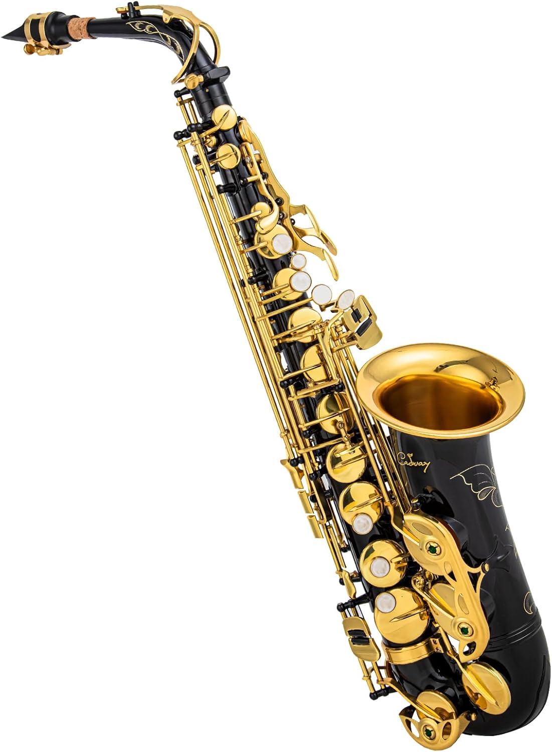 Alto Saxophone Eb beginner Saxophone includes brush canvas suitcase glove whistle piece cork plaster wipe cloth neck strap and other accessories (Black gold)