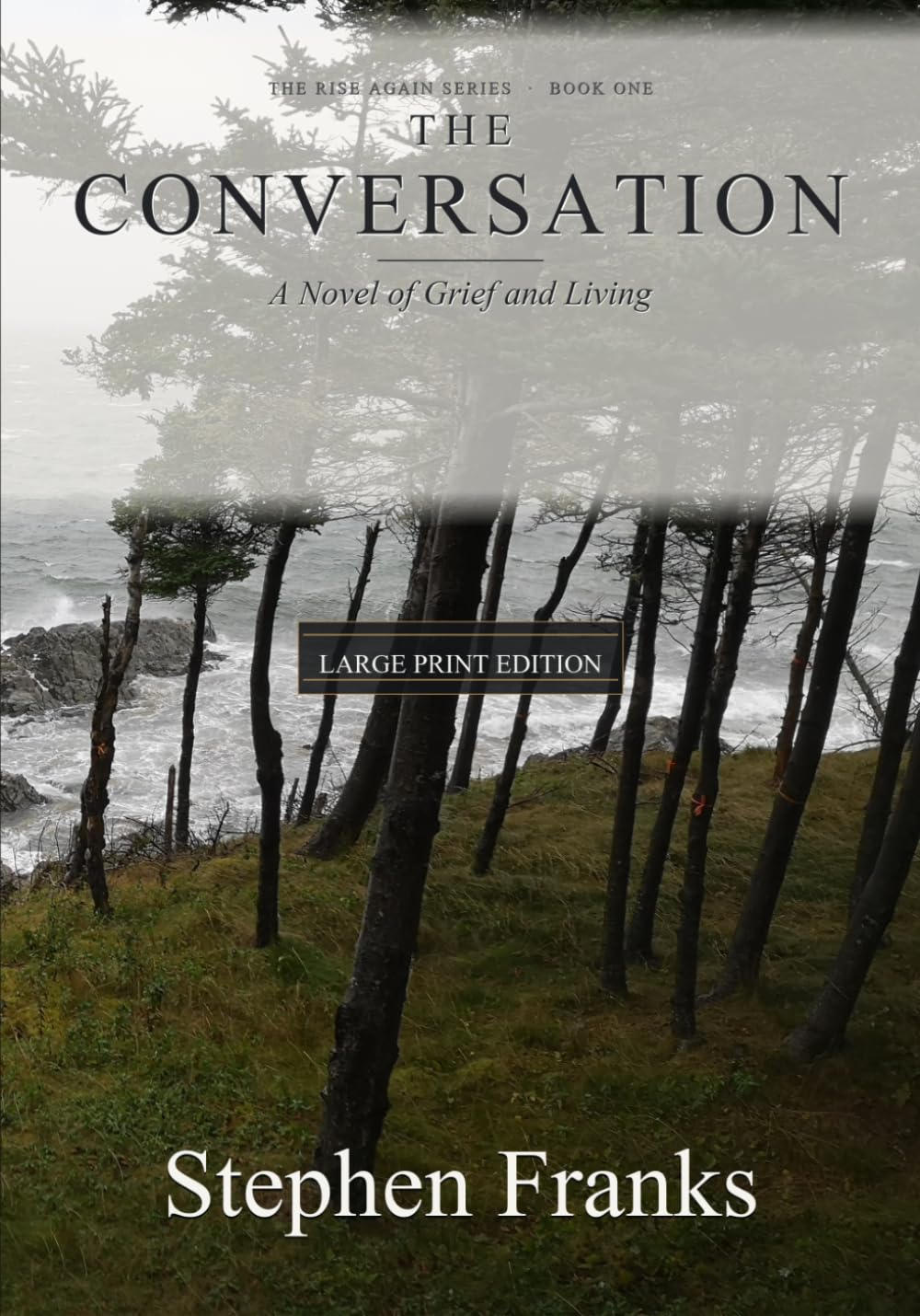 The Conversation: A Novel of Grief and Living (Rise Again Large Print)