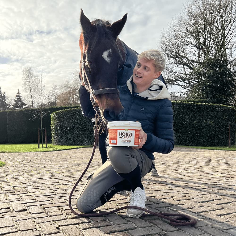 HorseFlex JointPower avec acide hyaluronique pour chevaux pour soutenir les articulations, les tendons, les ligaments, le cartilage et la synovia (liquide articulaire) – 3000 g
