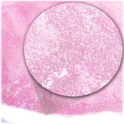 The Crafts Outlet MCR-GLS-TRN-TA6-LPN-1LB Transparent Glass Microbead, 1 Bag of 1-Pound, Light Baby Pink Rosa,Aguamarina (Aquamarine),Aurora