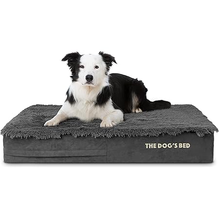 casper dog bed amazon