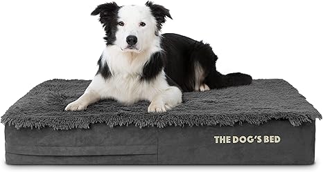 dog bed foam replacement