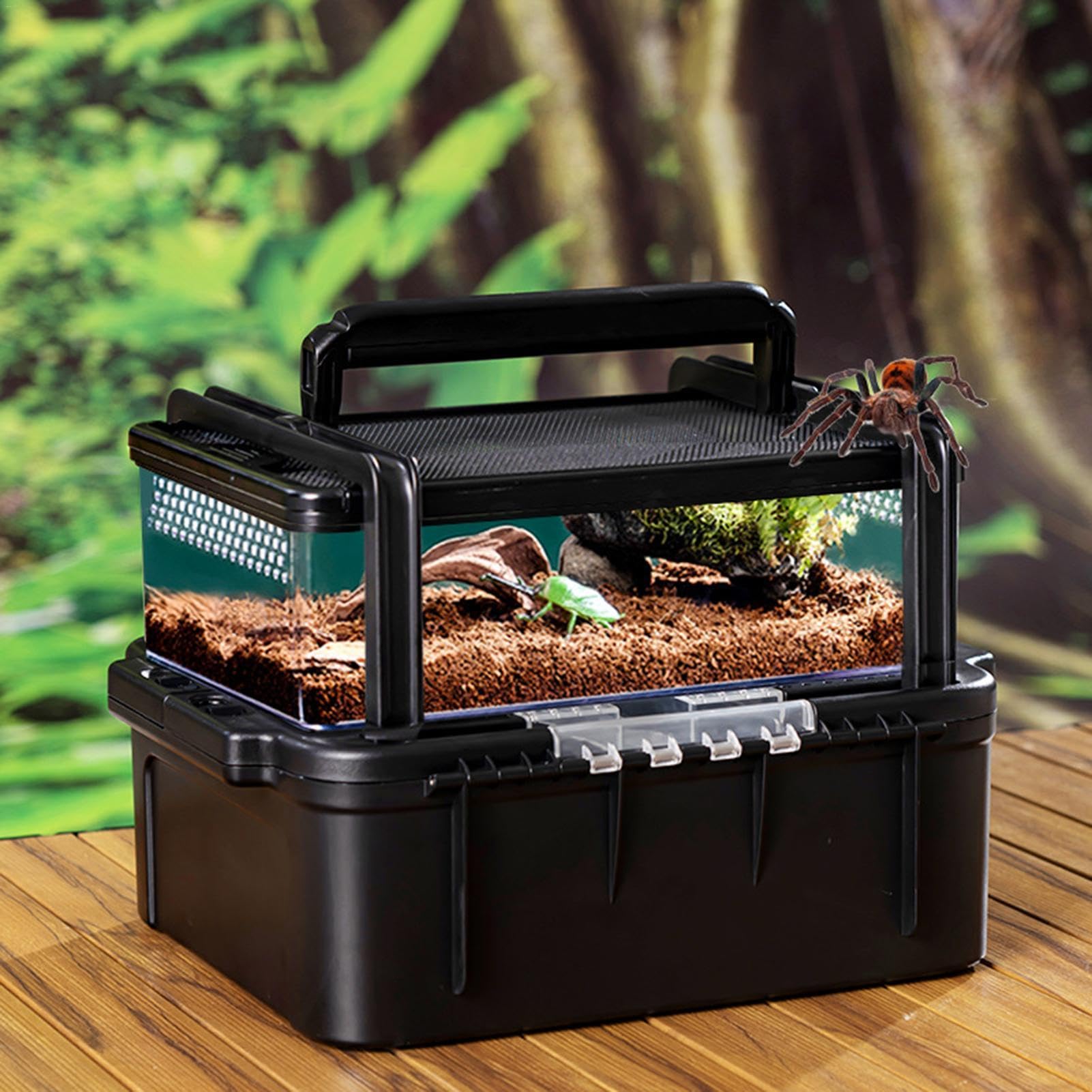 Pudełko do hodowli gadów, Pudełko do hodowli gadów , przenośne terrarium | Transporter podróżny dla gadów na zewnątrz Kemping Piesze wycieczki Wycieczka na świeżym powietrzu pr