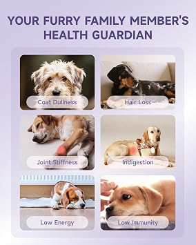 Collagen for Dog Liquid - Support Hip Joint Mobility, Skin Coat, Bone 60ML | Glucosamine, MSM, Omega-3, MCTs, Hyaluronic, Biotin, Dog Collagen Drops for Dogs, Especially for senior dogs