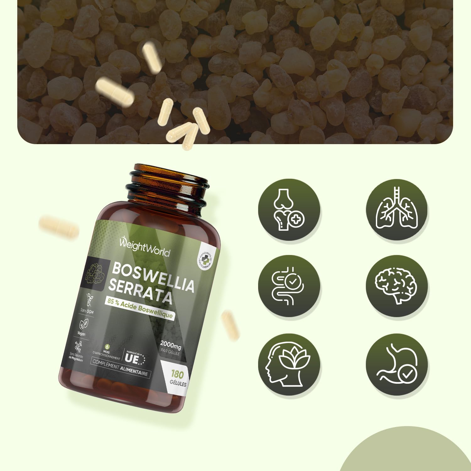 Boswellia Serrata Gélules 2000mg 180 Gélules Vegan avec 85% d’Acide Boswellique - Extrait de Poudre de Boswellia (5:1) Équivalent à 400mg - sans OGM ni Gluten, sans Lactose ni Additifs - pour 6 Mois