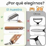 Ver la foto 5