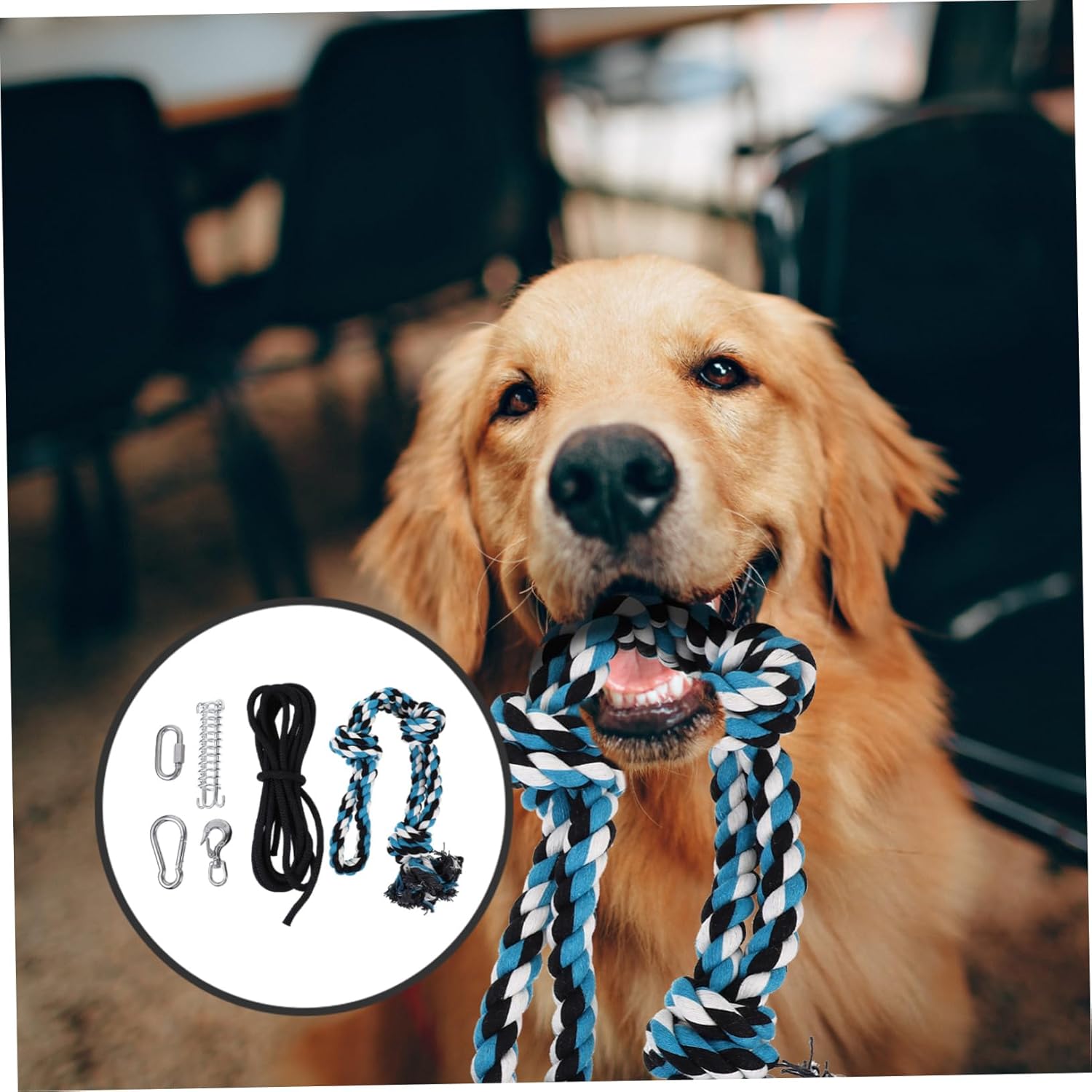 POPETPOP Stainless Steel Spring Pole Dog Toy Outdoor Dog Rope Chasing Game 5m Sturdy Rope Pet Exercise Toy